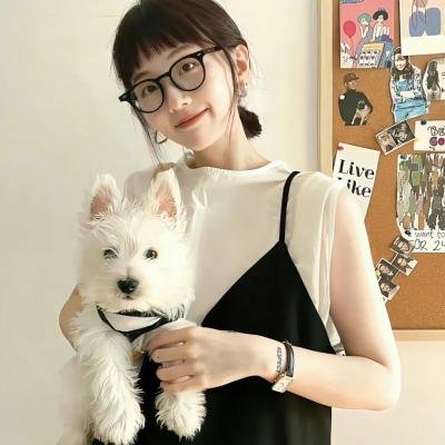愤怒的蝴蝶